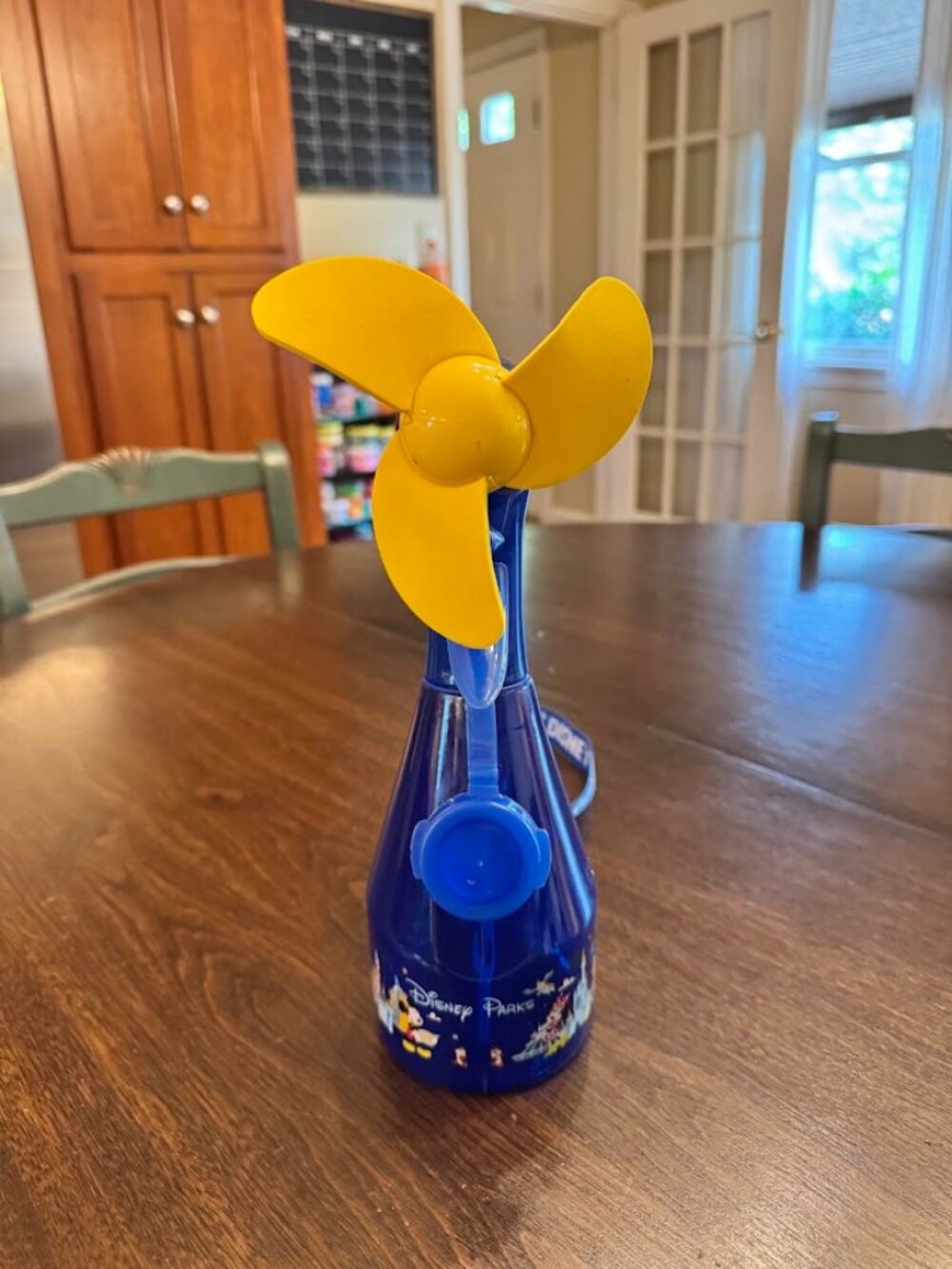 Disney Parks Mickey &Friends Misting Water Spray Bottle Fan w/Blue Lanyard Works